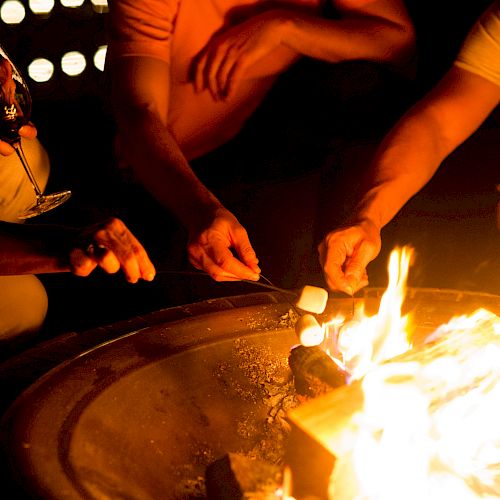 People are gathered around a fire, roasting marshmallows on skewers. One person is holding a glass, possibly with a beverage in it.