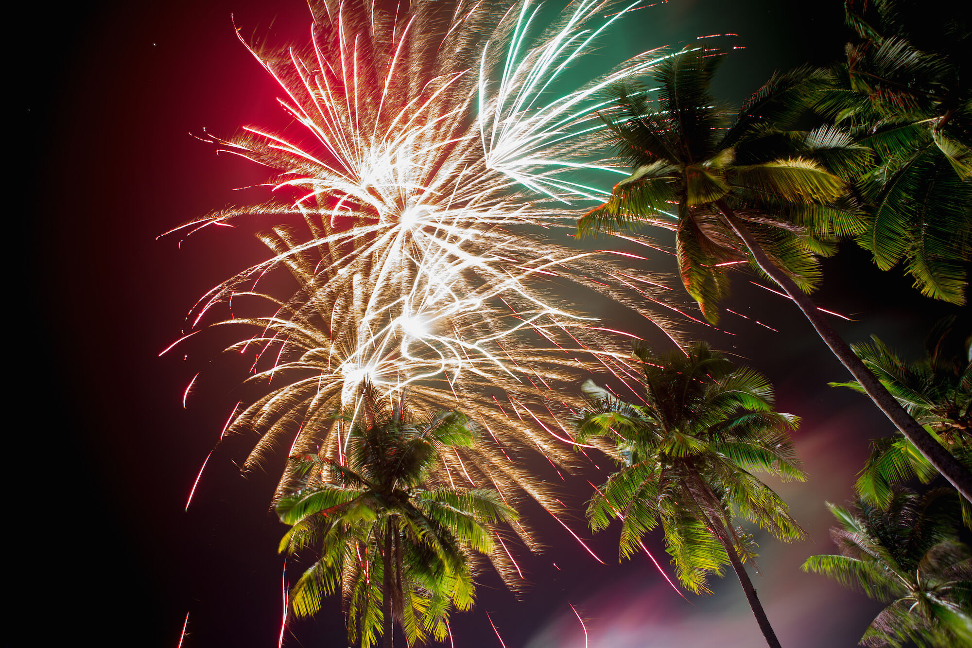 The image shows fireworks exploding in the night sky above palm trees, with bright colors and dynamic light trails illuminating the scene.