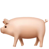 pig emoji