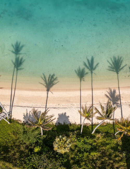Aerial view of a beach with clear turquoise water, sandy shore, and tall palm tree shadows stretching over the sand.