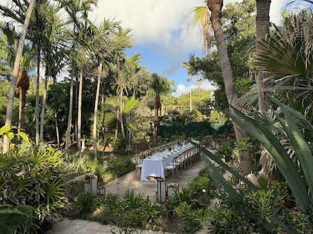 An outdoor setting with a long, white table in a lush, tropical garden surrounded by tall palm trees and greenery under a bright sky.