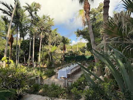 A long outdoor dining table is set in a lush garden with tall palm trees and greenery under a partly cloudy sky.