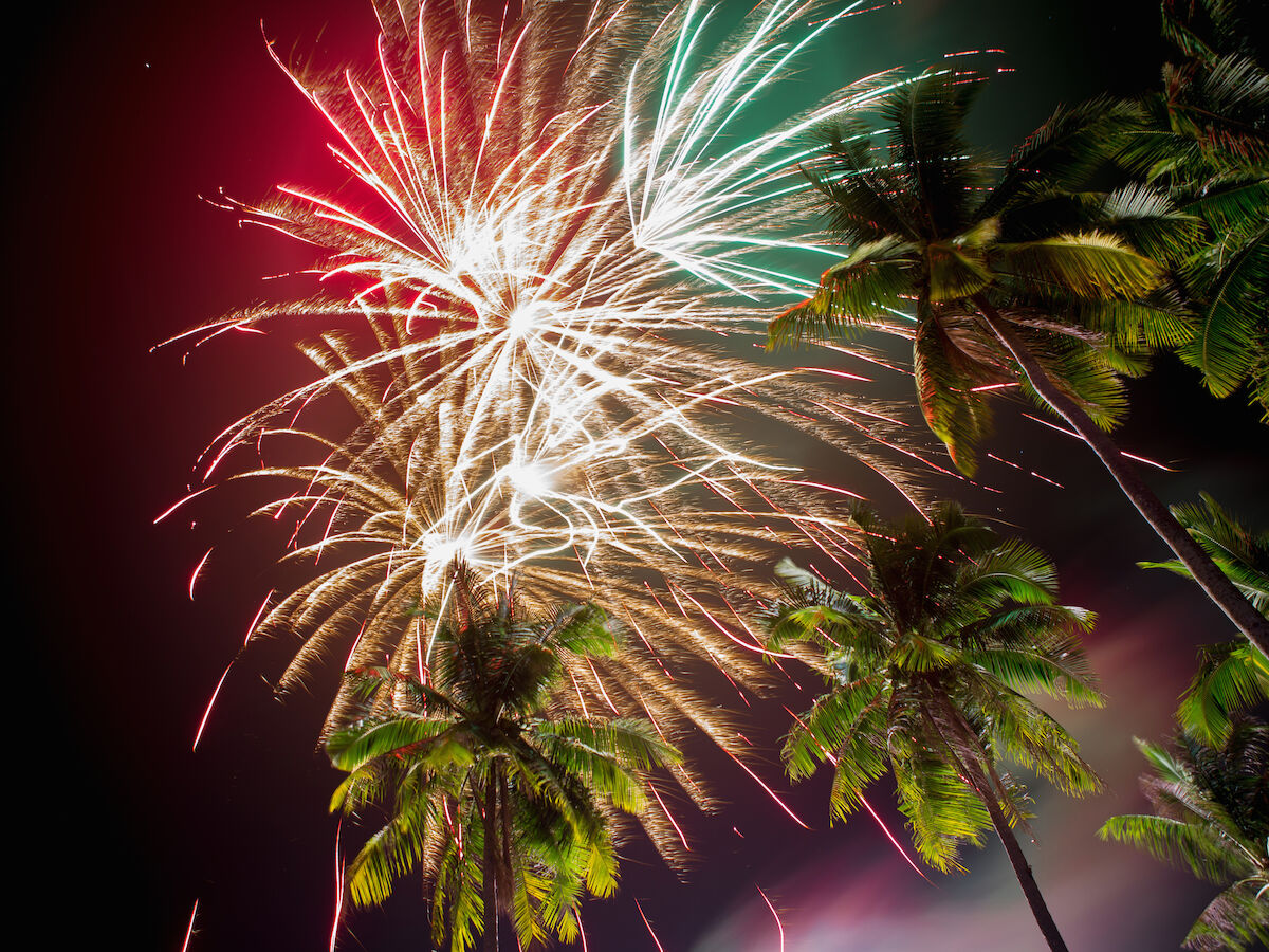 Fireworks explode in the night sky above tall palm trees, creating a vibrant and colorful display.