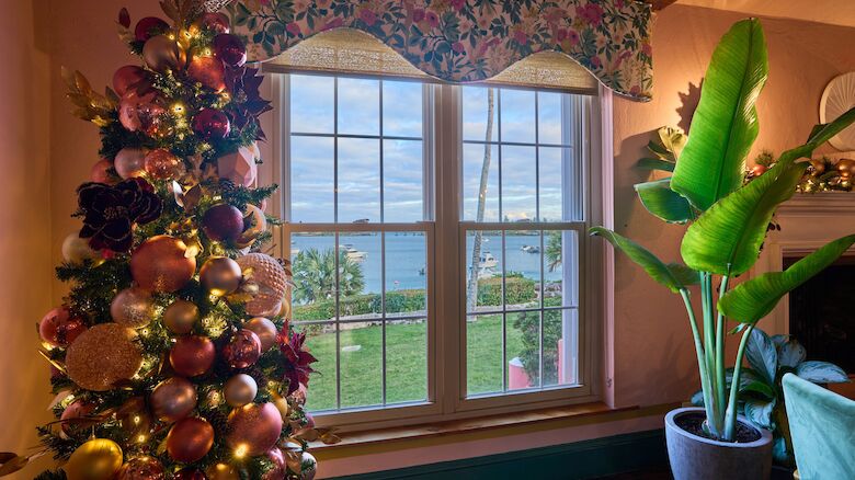 A decorated Christmas tree and a large potted plant sit by a window overlooking a scenic outdoor view with grass and water.