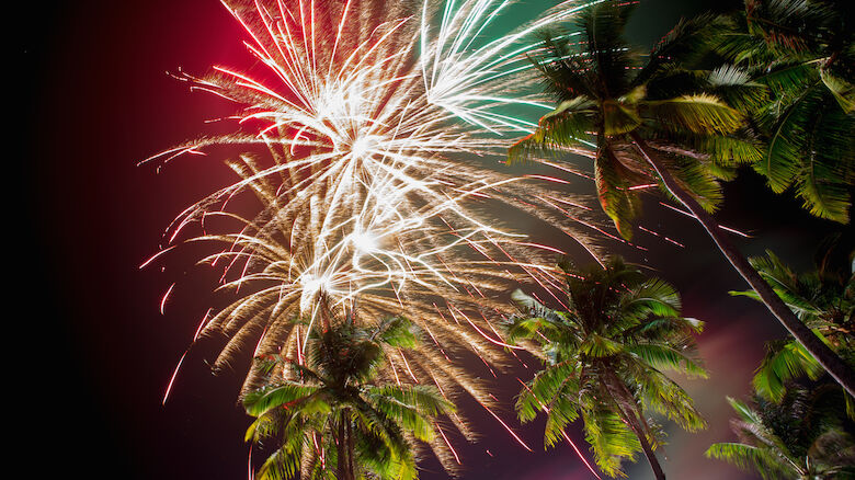 Fireworks light up the night sky, bursting in vibrant colors above tall palm trees, creating a festive and tropical atmosphere.