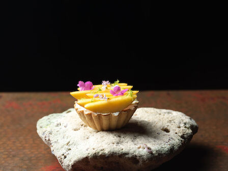 A tart with fruit slices and edible flowers is set on a stone against a dark background.