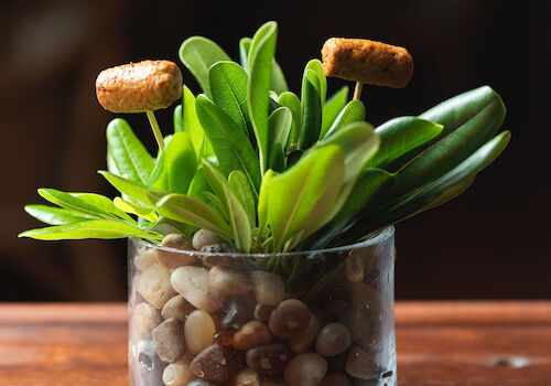 A small glass pot with green succulent plants and mushrooms, set on smooth pebbles on a wooden surface.