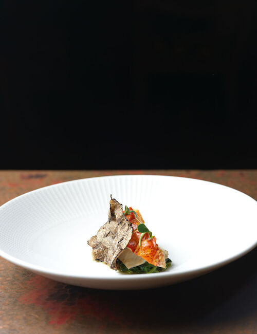 A white plate features an elegantly arranged dish with pieces of truffle, greens, and a touch of grilled or roasted meat.